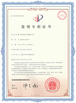 北京发明专利证书